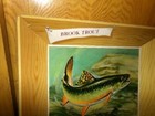 Kingsbury Beer 1950 s Brook Trout Self-framed Sign Wisconsin