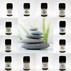  Essential Oils  Absolutes Aromatherapy 100  Pure Therapeutic Grade 2 Ml