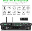 Ax-666 Professional Karaoke Processor Ktv Mixer With Dual Wireless Microphones