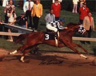 Secretariat 1973 Preakness Stakes Photo 8x10 Signed Framed Ron Turcotte