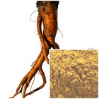 Yellow Dock Root Powder  Organic  Soap Making Supplies  Natural Colorant 