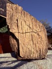       rr        Arizona Petrified Wood W druzy Smoky  Great Skin  31 lb      