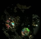 Rare Thin Section Of Meteorite Allende