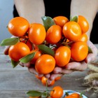 Orange Artificial Fruit Fake Oranges Theater Prop 9pcs Staging Home Decor Faux