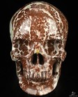 5 1  Chinese Painting Stone Hand Carved Crystal Skull  Super Realistic  Healing
