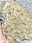 15 4 Pound  Calcite  angel Wing  On Drusy Limestone Host Rock