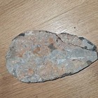 Orthoceras Fossil Specimen In Matrix