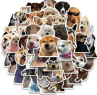 400 Pack Cute Dog Cat Meme Funny Animals Stickers Kawaii Cartoon Decals Laptop