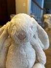Jellycat Bashful Bunny White Cream Plush Stuffed Animal Medium 12  Soft Stuffie