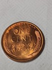     1955-s Wheat Cent - Choice  Red  