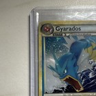 Nintendo Gyarados 4 123 Heartgold Soulsilver Cracked Ice Holo Rare 2010 130