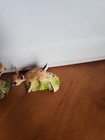 Vintage Ceramic Salt And Pepper Shaker Set Spotted Deer Fawn