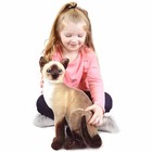 Stefan The Siamese Cat   13 Inch Stuffed Animal Plush   By Tigerhart Toys