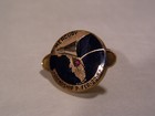 Mercury Project Friendship 7 Orbital Flight Gold  filled  Pin Nasa Feb  20  1962