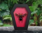 Framed Murder Hornet Taxidermy Coffin Shadow Box Real Insect Specimen Oddity Art