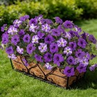  6 Pcs Artificial Flowers Fake Petunias For Outdoors  Faux Flowers Purple White