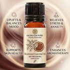 Rosewood Essential Oil 100  Pure  Undiluted  And Natural   Therapeutic Grade Oil