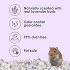 Kaytee Clean   Cozy Lavender Bedding For Pet Guinea Pigs  Rabbits  Hamsters 
