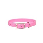 Two Ply Dog Collar - 4 Colors - All Sizes - Double Ply 1  Nylon Web Series