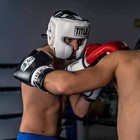 Title Boxing Leather Training Sparring Headgear