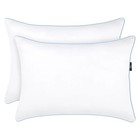 Serta Perfect Sleeper Comfy Sleep Eco-friendly Bed Pillow  Standard queen  2 Pk 