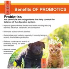 Joint Supplements For Dogs And Cats With Glucosamine  Chondroitin  10 Vitamins  