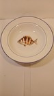  Vibra Wllms Snom Dinner Plate Set 4 La Mer Fish Marc Lacraze Blue Sea Exc    Cond