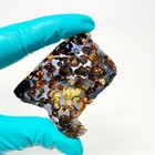 13 3g Sericho Pallasite Meteorite Slice Specimen From Kenya With A Certificate