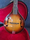 Vintage Goya Mandolin With Case