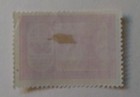 Argentina Airmail Stamp  1928  Sc c9  Mint  Vlh  Og  Wmk