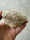 1715 Treasure Fleet Shipwreck Recovered Large Pottery Shard Neck - Encrusted