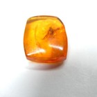Amber Specimen W  Trapped Insect 0 81g Fossil