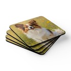 Papillon Dog Drink Coaster Set