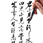 3 Pcs Calligraphy Brush Set Traditional Chinese Japanese Writing Paint Art