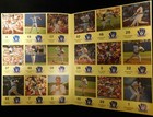 Milwaukee Brewers Vintage 1989 Mlb Baseball Yearbook Program 20th Anniversary 
