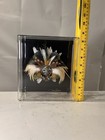 1991 Vintage Signed Robert Shield s Feathered Mask In Plexi Glass - Mixed Media