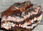 Serape Lace Agate Serape Jasper Crazy Lace  5  X 3 5   Mexico Rough Slab Cabbing