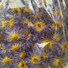 1kg Dried Blue Lotus Whole Flowers Egyptian Nymphaea Caerulea Ship Fast From Ca