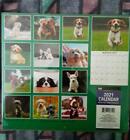 Puppies - 2021  double  Wall Calendar   last One 