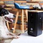 Dogness Wi-fi Pet Camera With Treat Dispenser For Dogs And Cats