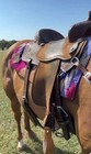 Sherry Chervi 14 5 Inch Seat Martin Saddle   All Around   Great Condition