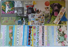 Lot Mixed Ephemera   Embellishments For Scrapbook junk Journal craft Pack 5  Lbs