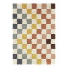 Rainbow Checker Indoor Rug Soft Plush Eco-friendly Stain Resistant Non-shedding