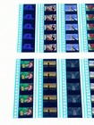 X10 The Lion King Animated 35mm Film Cell Strips Walt Disney Cel Movie Unmounted