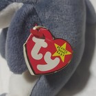 Rare Ty Beanie Babies Echo Blue Dolphin Plush Vintage 1998 Mpn Echo
