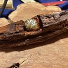 Rare Dug Civil War Bullet In Wood Plus Bonus Relics