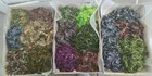 100 Creature Bait  4 - Soft Plastic Baits Lot - 7 Colors - Fishing Tackle - Bass