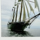 Photograph Denis Sullivan Moonlight Schooner Matted 11    X 14    Replica Of 1800   s