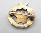 Vintage 10k Solid Gold Order Of The Eastern Star Pin Weighs  7 Of A Gram