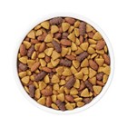 Purina Dog Chow With Real Beef Adult Complete   Balanced Dry Dog Food